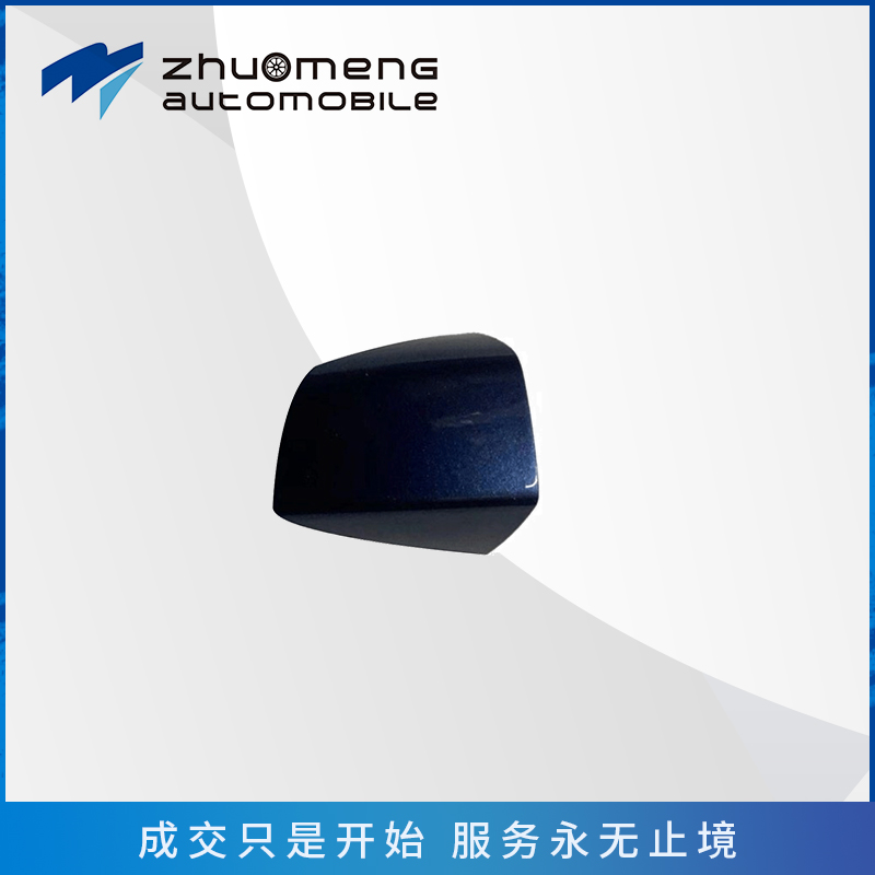 _0006_后门外拉手小盖-L-不带亮--10285952