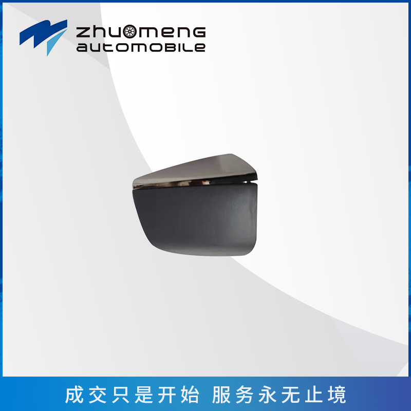 _0011_后门外拉手小盖--10285951
