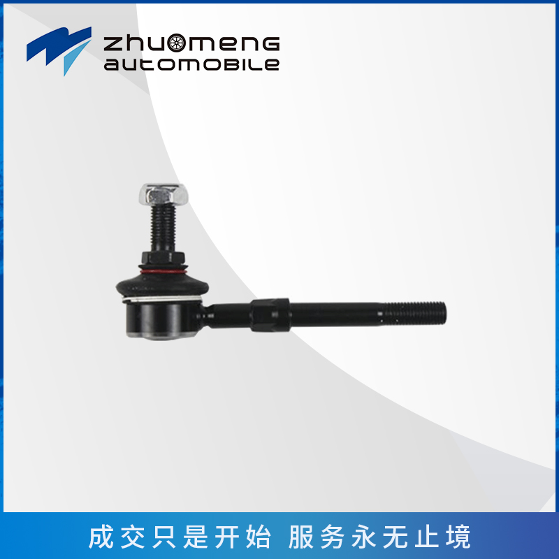 _0030_后稳定杆连接杆----10094355