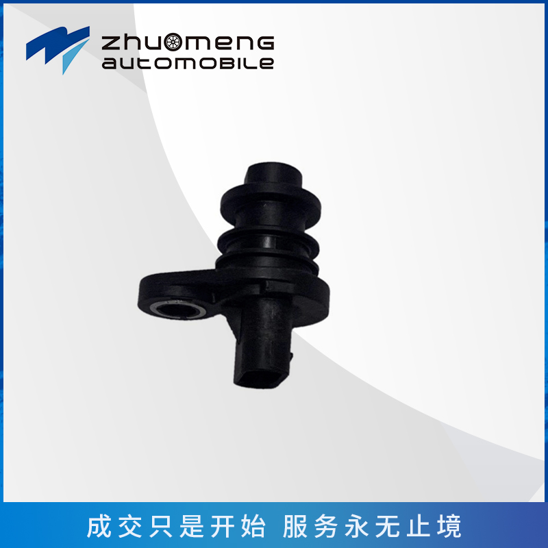 _0065_凸轮轴传感器-1.5T---10273701