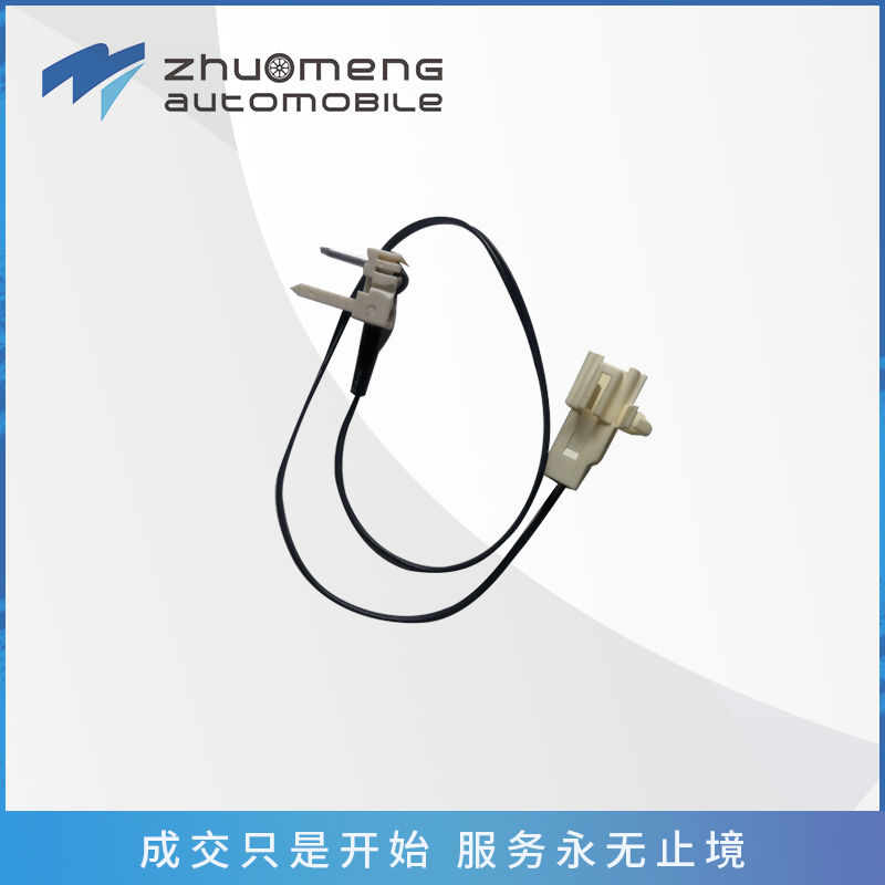 _0038_T60温度传感器-C00089371