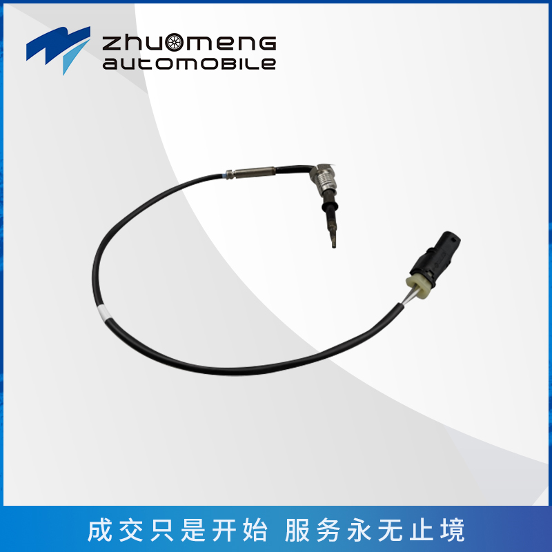_0160_T60-V80-G10-1.9T-C00030711-C00099612的原厂前温度传感器