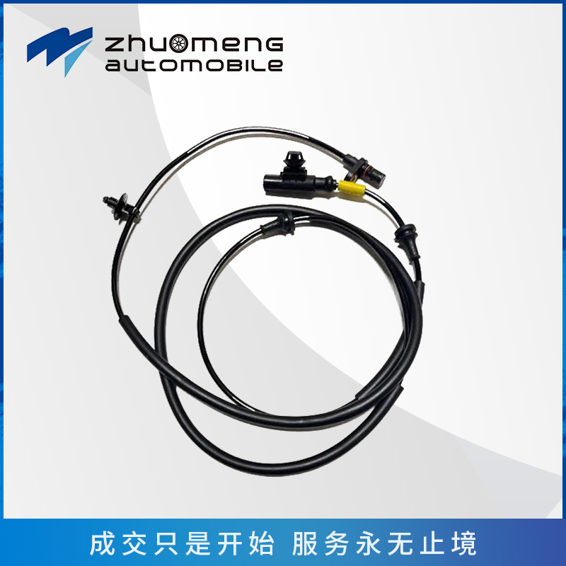 _0230_后ABS传感线-Lc00100125-(1)